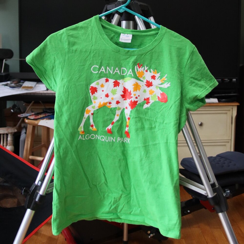 Gildan cotton t-shirt.  Size M.